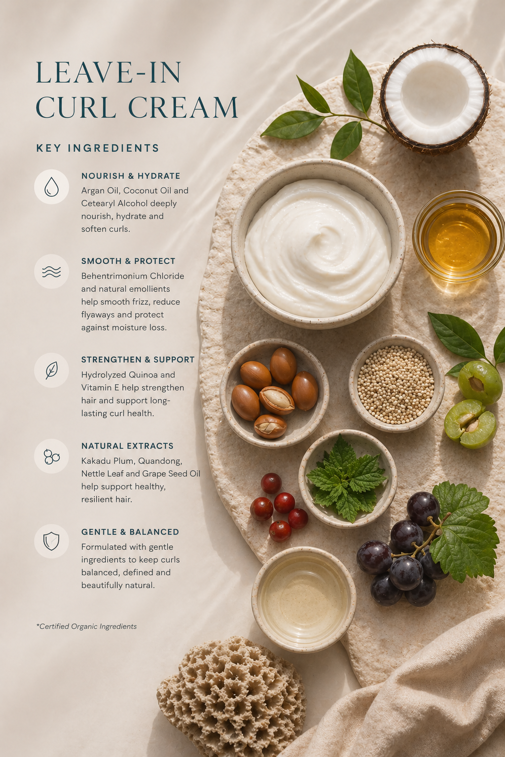 Ocean Curls Leave-In Curl Cream key ingredients chart, with small bowls of cream, oils, herbs and seeds arranged on a pale surface